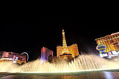 《池塘清洁模拟器》上架steam 大小种类多种多样